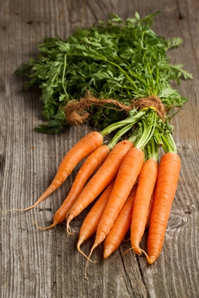 carrot Top